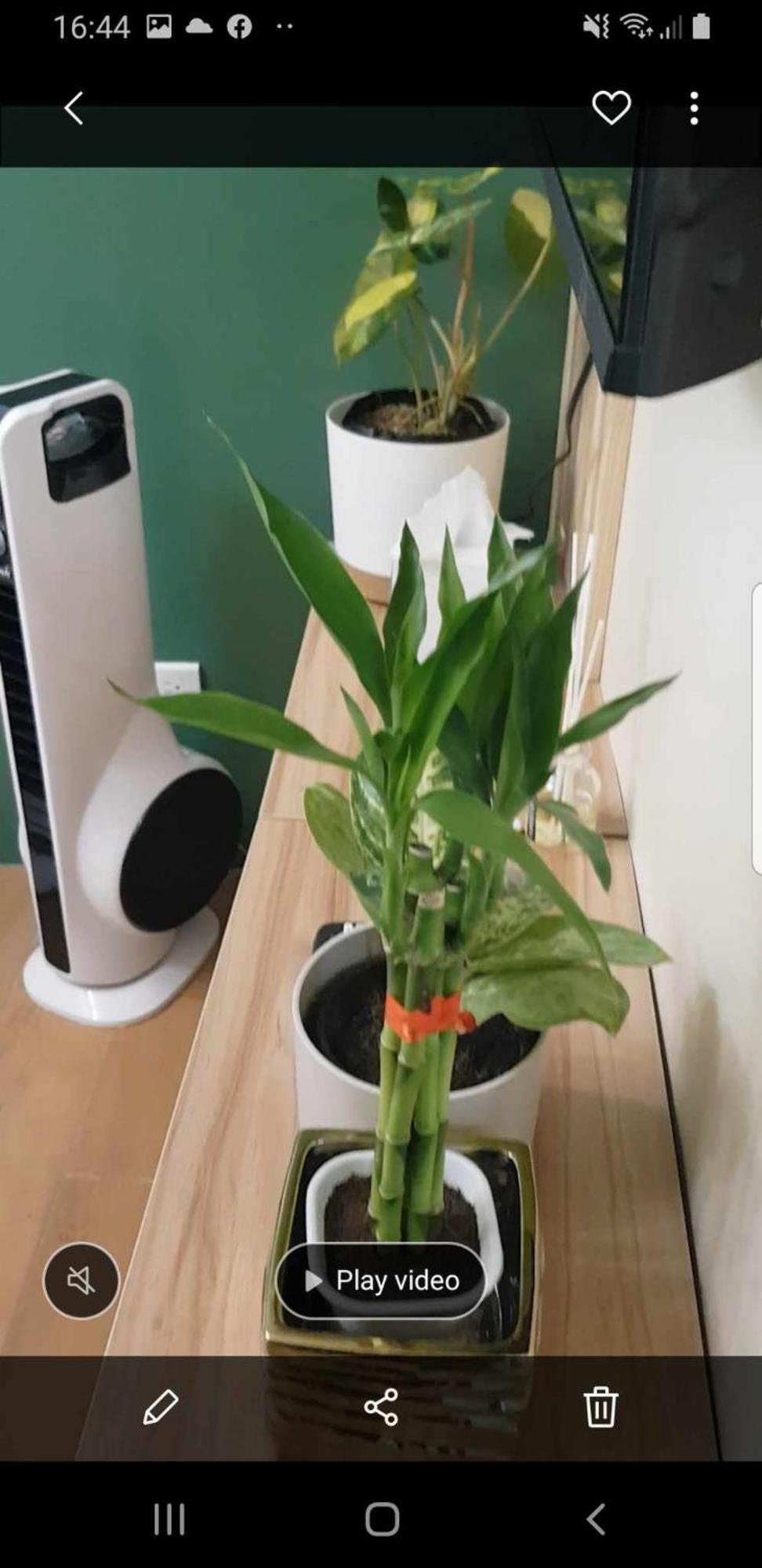 Cozy 2 Bedroom In Near Airport With Balcony Apartment *